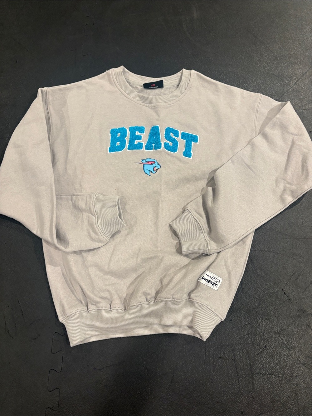 BEAST Kids' Crewneck Sweatshirt - Light Gray with Blue Logo